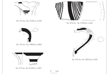 Una página del informe de