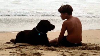 Julián y Atún tienen un