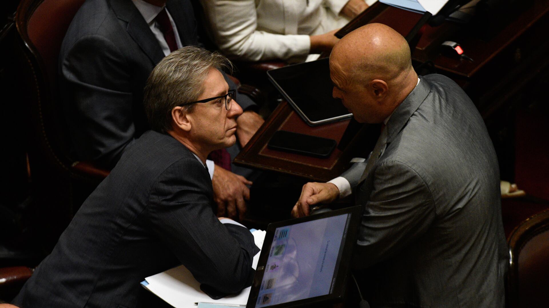 El jefe del radicalismo en el Senado, Eduardo Vischi