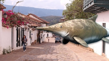 Vista general del ictiosaurio CIP-0107,