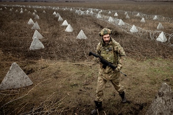 Los "dientes de león" instalados