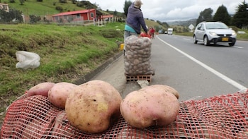 Llega a Bogotá la ‘Papatón