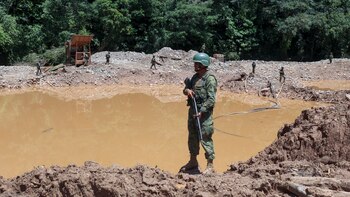 La minería ilegal depredó casi
