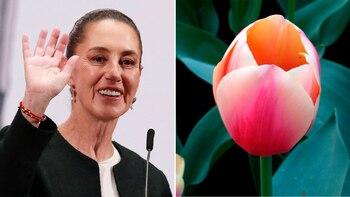 La mandataria rechazó que nombraran