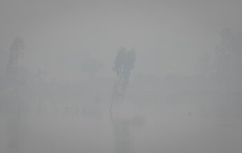 El aire tóxico es un