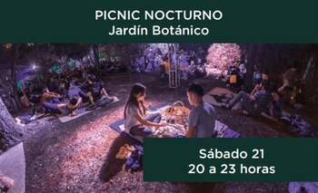 (captura de pantalla: Bosque De