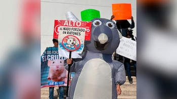 BUAP suspende prueba de nado