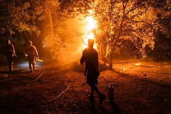 Varias personas trabajan en las labores de extinción de un incendio forestal Ávila (César Vallejo Rodríguez / Europa Press)