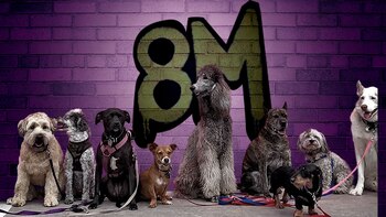 Algunas de las mujeres que