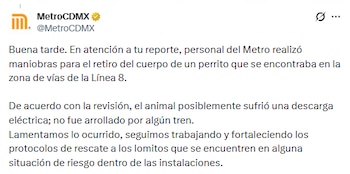 (X/ @MetroCDMX)