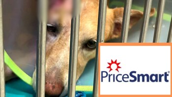 PriceSmart desvinculó a un trabajador