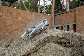 El primer objetivo de Alqo