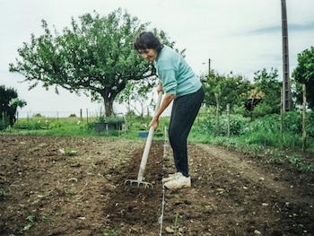 Esta herramienta sirve para aflojar