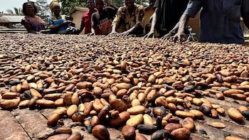 El PSOE propone al Congreso