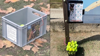 Conmovedor homenaje a una perra