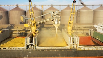 Récord agroexportador: desafíos logísticos y