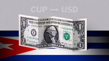 El precio que tiene el dólar en las calles de Cuna supera por mucho el oficial. (Infobae)