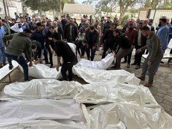 Imagen 5MY4OHF6R5GIHMPBCR2BQKF4WM