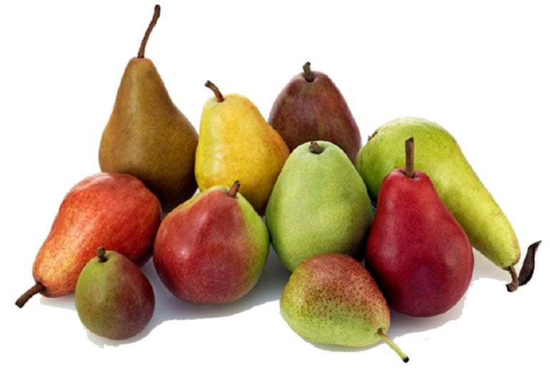 La cáscara de la pera concentra una parte importante del contenido de fibra de esta fruta (Sader)