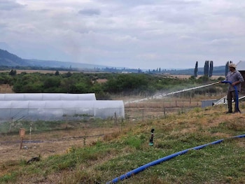 Ticmas - Escuela CEA Neuquén