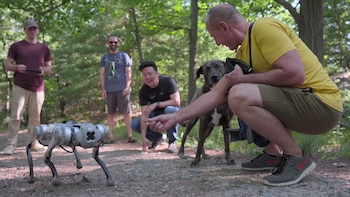 El adorable perro robot de