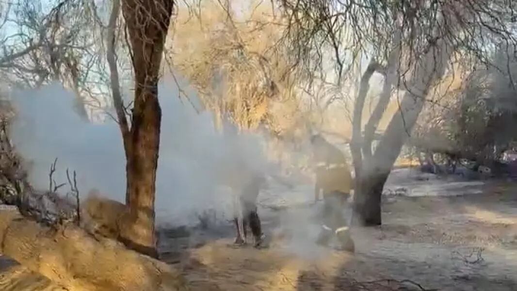 Los incendios forestales en Cafayate arrasaron más de 200 hectáreas de bosque nativo en Finca El Monte, en Salta