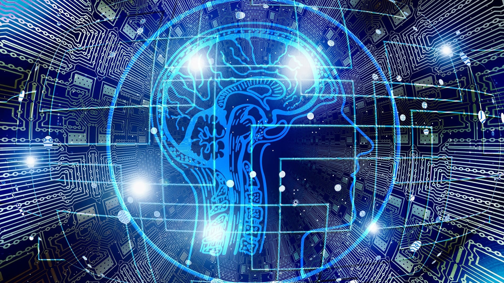 Acostarse como experto, despertar como novato: un nuevo orden para el conocimiento