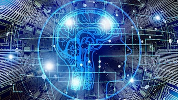 Acostarse como experto, despertar como novato: un nuevo orden para el conocimiento