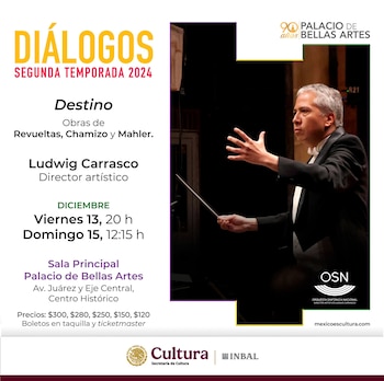 Eventos, Bellas Artes