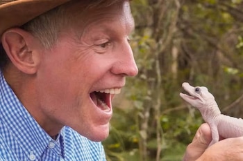 Gatorland celebra el nacimiento de