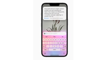 Ambos ofrecen funcionalidades satelitales como