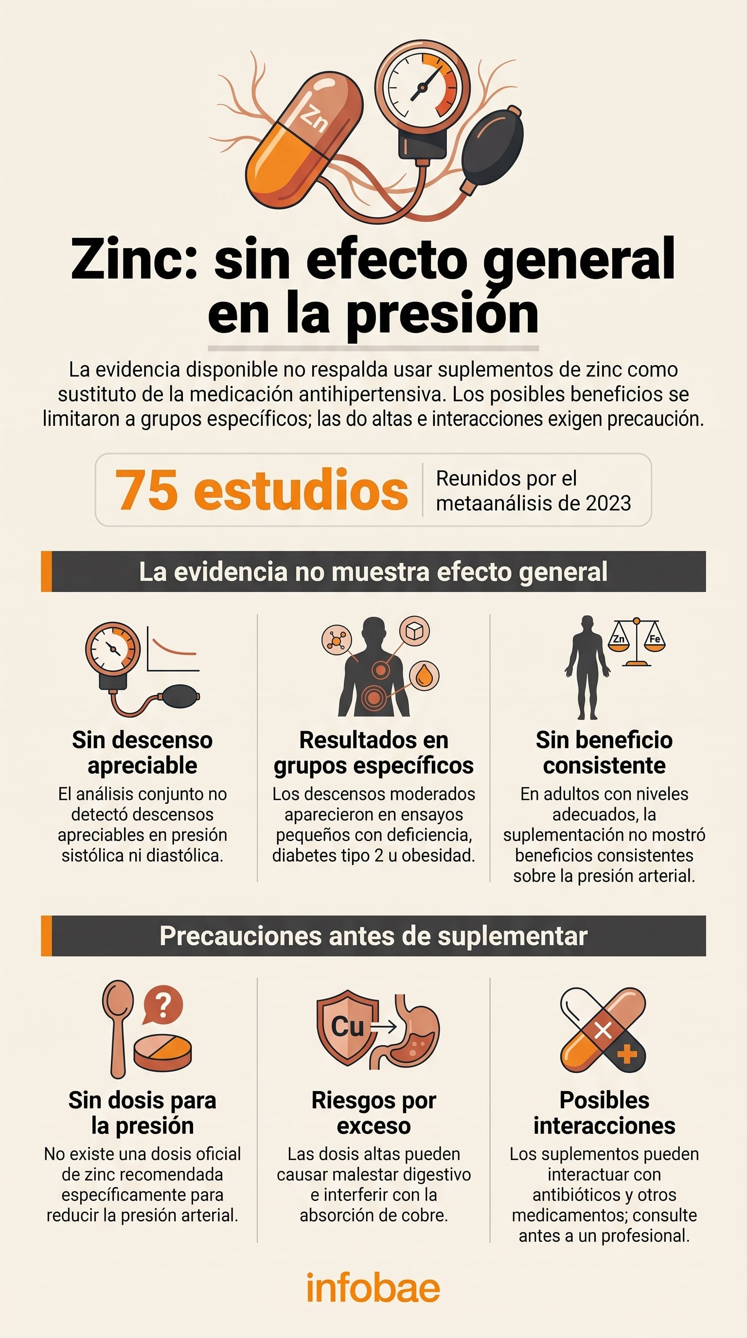 El zinc participa en los mecanismos del óxido nítrico y en la relajación de los vasos sanguíneos (Imagen Ilustrativa Infobae)