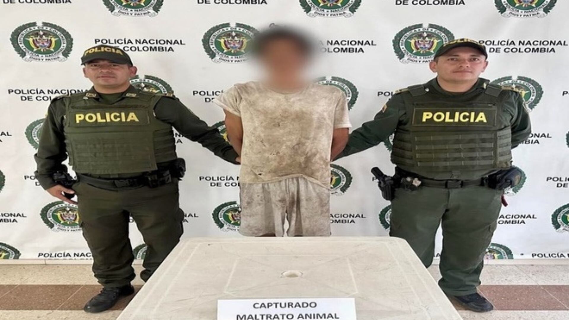 Un caso de violencia contra un animal en Cundinamarca marca el inicio de la aplicación de la nueva normativa, con intervención policial y atención veterinaria inmediata para el canino afectado - crédito Policía Nacional