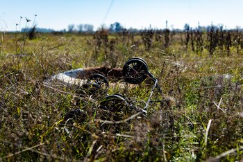 Por todo el predio aparecen