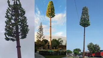 Es importante aclarar que estas