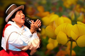 El discurso de la canción