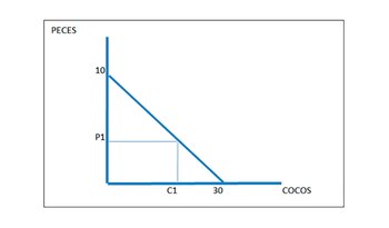 Combinaciones posibles entre pescar y