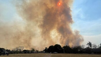 Dolores de cabeza, picazón en