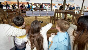 Qué hacer en La Rural: