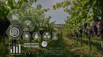 Sistema de sensores inteligentes y modelos computacionales en un viñedo de California