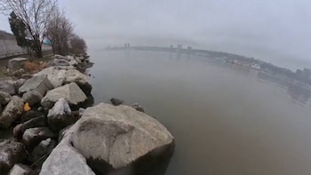 Orilla rocosa junto a un gran cuerpo de agua en un día nublado; árboles sin follaje y una carretera bordean la costa, con una ciudad difusa en el horizonte