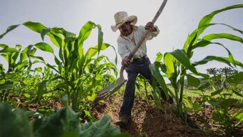 (Foto: Gobierno de México)