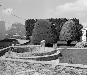 “tns 61” de Lanthimos, de