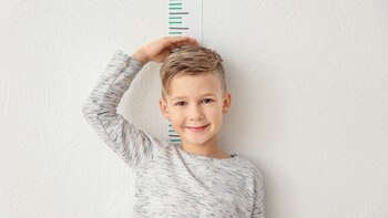 Los detalles de la nueva