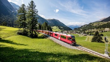 Paseos con cabras y caminata