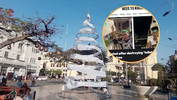 Árbol de Chiclayo es noticia