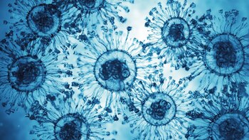 Un proyecto europeo coordinado por