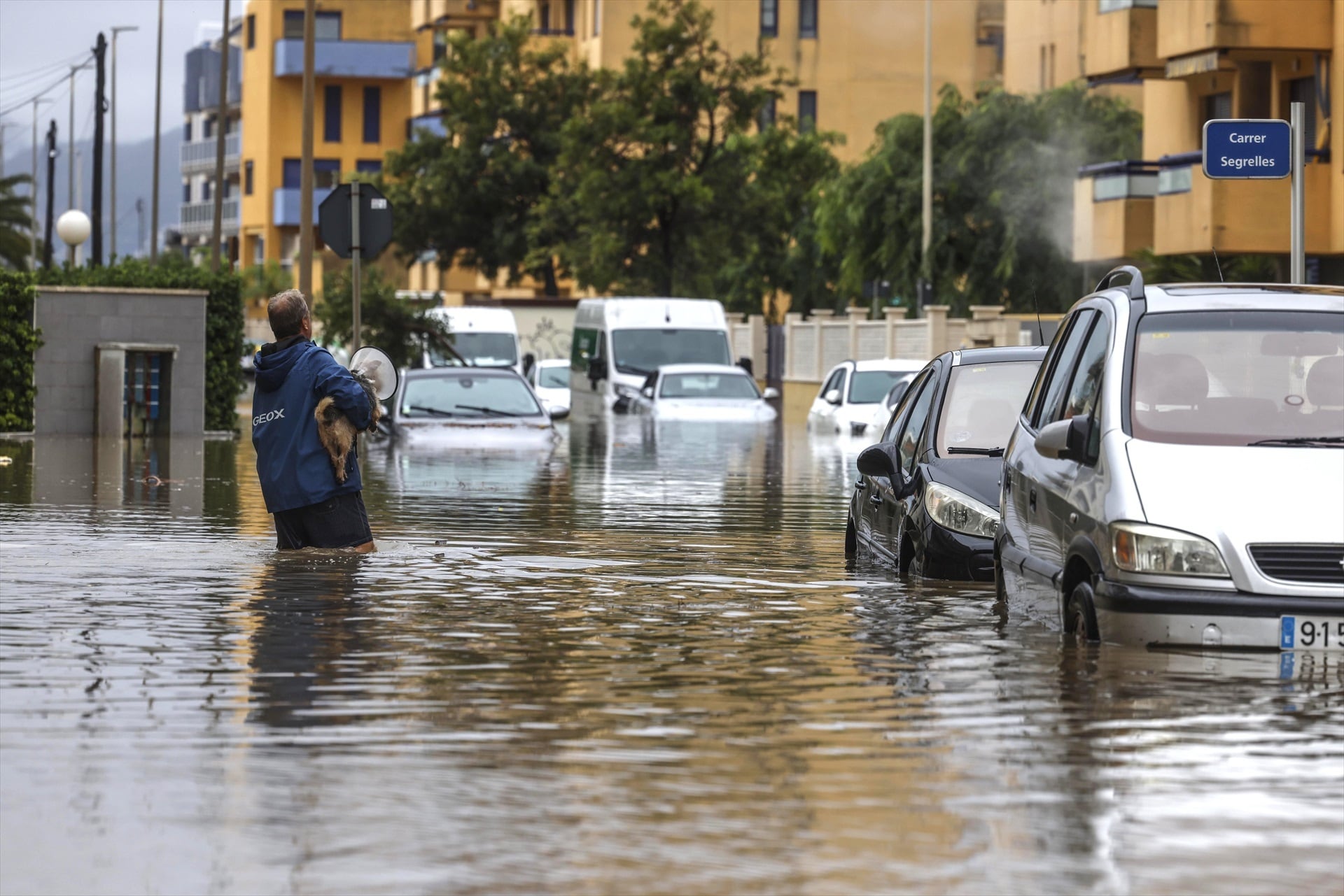 Un hombre atraviesa con un perro una zona inundada, a 19 de octubre de 2026, en Guardamar de la Safor, Valencia, Comunidad Valenciana (Rober Solsona / Europa Press)