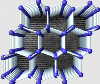 07-06-2021 Visualización de la estructura