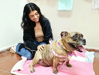 PaWS & PaUSE UES en la Universidad de El Salvador plantea una pausa con perros en plena semana de evaluaciones (Foto cortesía Facultad de Ciencias Agronómicas)
